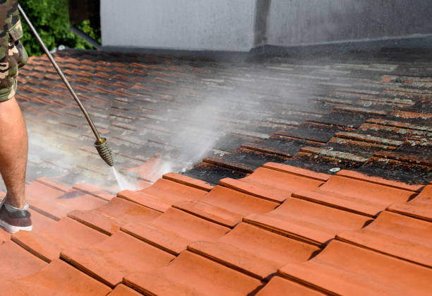 Best Roof Pressure Washing  in , SD